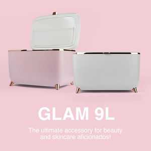 Wholesale Wholesale Portable Electricity Skincare Fridge 6L Retro <b>Mini</b> Cosmetic for Car & Hotel Use - Product Image 2