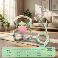 Laisse de mode pour chat avec jouet en peluche monté au dos et design mignon, chaîne en I fraise pour petits chiens/chats - Promenades en extérieur