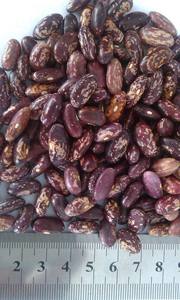 ถั่วไตสีแดงถั่วน้ำตาลแครนเบอร์รี่ถั่วไพน์อบแห้ง - Product Image 4