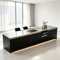 Meuble de cuisine modulaire en acier inoxydable 304 noir laqué mat sans poignée avec évier intégré, éclairage LED et four encastré linéaire