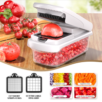 Professionele Compacte Metalen Fruit-En Groentegereedschap 15 1 Multifunctionele Handmatige Groentesnijmachine Nieuwste Type Met Plastic Karton