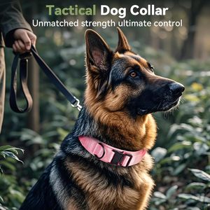 New Design Soft Neoprene Padded Metal Buckle Personalized Collar Tactical <b>Dog</b> Collar for <b>Dogs</b> Training - Product Image 2