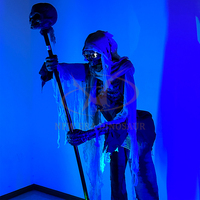 Modelo Animatrónico de Interior para Halloween Decoración de Terror con Fantasma Esqueleto y Calavera Sensor Infrarrojo para Parque Temático Aeropuerto Guardería y Escuela
