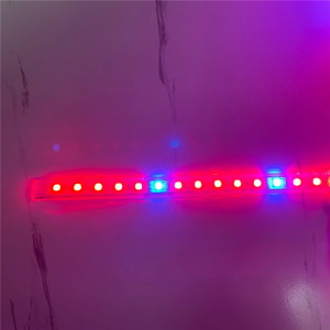 LED Full Spectrum Grow Lichtst reifen Rot Blau 3:1 4:1 5:1 DC12V DIY Flexibles Wachstums licht band für Gewächshaus hydro ponik - Product Image 6