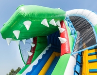 WINSUN Toboggan gonflable personnalisé en forme de crocodile, location commerciale, équipement d'extérieur