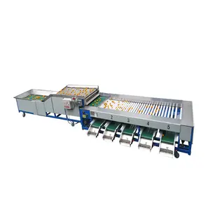 Industrial Cherry 6 Categories Sorter/Kiwi Dryer Roller Grader/Potato Automatic Feeding Cleaning Grading Sorting Machine