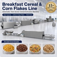 Automatische Industriële Kleine Elektrische Machine Voor Verwerking Tarwe Rijst Cornflakes Voor Fruit Groente Chocolade Friteuse