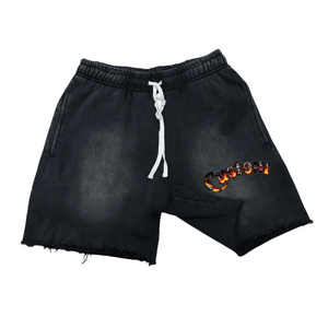 Pantalones Cortos de Baloncesto con Logotipo Personalizado al por Mayor, Pantalones Deportivos Transpirables de Malla para Hombre - Product Image 3