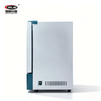 220V 110V Customizable 45L High Quality Constant Temperature Incubator With Digital Temperature Limiter and Fan