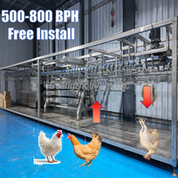 Ligne de traitement de volailles Plug and Play 800BPH pré-assemblée – Machine d'abattage de poulets sans installation requise pour abattoir