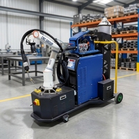 Robot Kolaboratif 6-Axis Khusus untuk Pengelasan Logam Otomatis