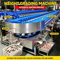 Trieuse automatique de crevettes en acier inoxydable SUS304, calibreuse de poids 8000 pièces/heure avec garantie de 2 ans et support à distance