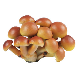 Modelo de comida de simulación para juegos de rol infantiles yxs, hongo zampón, artículo de exhibición para jardín de infantes, juguete de tiro. - Product Image 5