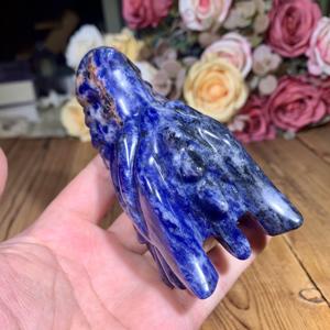 Calaveras de Cristal Talladas a Mano, Calaveras de Dragón de Sodalita Azul, Figura Coleccionable con Temática Animal, Tallados en Relieve - Product Image 2