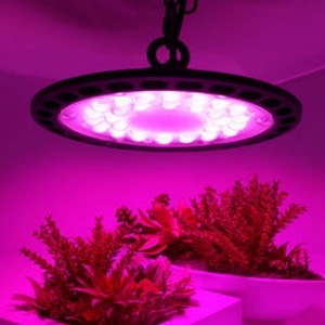 Lámpara LED para Cultivo Vertical de Gran Escala, 4x8 pies, 1200W, Espectro Completo para Máximo Rendimiento - Product Image 6