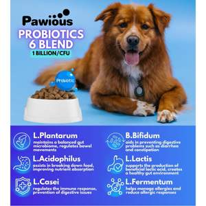 Probióticos DB para perros y gatos Enzimas digestivas perfumadas con calabaza Flora intestinal Apoya el sistema inmunológico Diarrea Alergias cutáneas con picazón - Product Image 4
