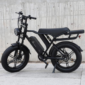 USA/EU-Lager Schneller Versand Original E-Bike Fatbike mit Breitreifen 750W Elektrofahrrad E-Rennrad für Erwachsene - Product Image 2