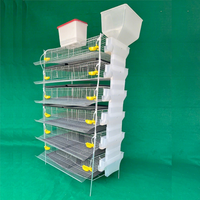 Cage à Cailles Galvanisée Type H à 6 Niveaux, Capacité 300-330 Oiseaux, Longue Durée de Vie, avec Mangeoire Automatique à Trémie, à Vendre