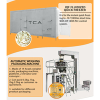Ligne de production automatique TCA 3000 kg/h avec pelage à la vapeur, blanchiment en spirale, frites surgelées semi-frites
