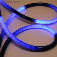 Tube lumineux néon en cuivre D25 28W/M 24V SPI UCS1903 240LEDs/m RGB 360 IP65 avec télécommande