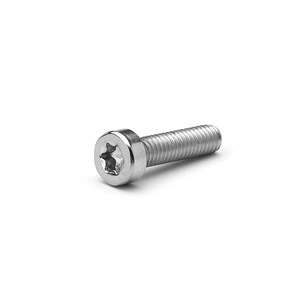 Tornillo Torx Interno de Cabeza Cilíndrica, Acero Inoxidable 304, Rosca Métrica Estándar, Grado A, Clase 8.8, Industria de la Construcción - Product Image 1
