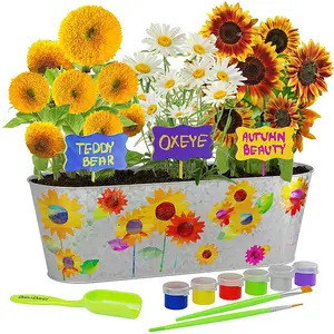 Indoor Creative Garden Set Make Grow Kit DIY Children's gardening grow kit