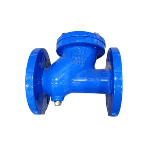 DIN-F6 DN50 DN65 DN80 DN100 DN125 DN150 DN200 DN250 DN300 DN500 Flanged गेंद की जाँच वाल्व