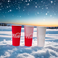 Gobelets de camping magiques en aluminium réutilisables et jetables de 500 ml pour boissons froides, jus, bière - Fabricant de gobelets de bar personnalisés en gros