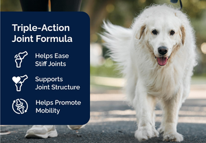 Integratore per Articolazioni di Cani Anziani OEM/ODM - <span class=keywords><strong>Compresse</strong></span> Masticabili a Base Vegetale con Glucosamina, Condroitina e Cozza Verde per il Sollievo dal Dolore - Product Image 4