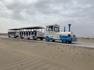 Usine fournissant des trains électriques touristiques élégants et spacieux à 58 places pour les voyages de <span class=keywords><strong>vacances</strong></span> - Product Image 3