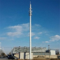 Antenne monopolaire en acier galvanisée de télécom de Polonais pour des tours de cellules et la télécommunication