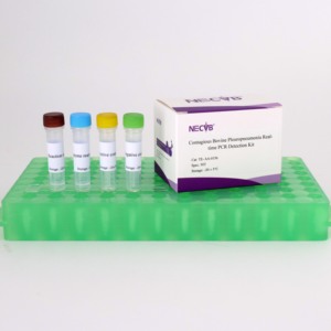 Kit uji bovin pleuroplous sensitivitas tinggi, teknologi pemindai TaqMan kompatibel dengan sistem PCR <span class=keywords><strong>ABI</strong></span> Roche/bio-rad - Product Image 3