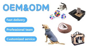 Frisbee de TPR para Perros, Disco de Entrenamiento para Mascotas, Libre de BPA, Juguete Flotante para Masticar, Limpieza Dental, Suministros Interactivos para Mascotas al Aire Libre, Venta al Por Mayor - Product Image 6