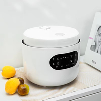 Mini-cuiseur à riz électrique intelligent 3L de qualité, multifonction, cuiseur vapeur, cuisson rapide à faible teneur en sucre, boîtier en plastique, tasse doseuse, usage domestique
