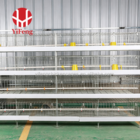 Cage à poulets de chair de type H, cage à batterie pour poulets de chair à 3 niveaux avec plancher en plastique à lattes, alimentation automatique, certifiée CE