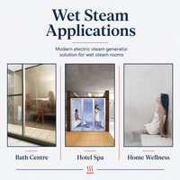 Sauna et hammam à prix abordable : Générateur de vapeur humide 9KW pour salle de sauna