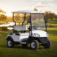 Voiturette de golf électrique Tarion 2 places, batterie lithium 72V, moteur AC 3KW, 30-50 km/h, propulsion arrière, frein à tambour, cuir PU