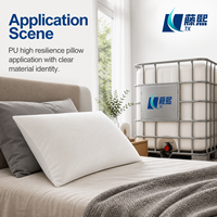 Polyol de polyester PSP de qualité supérieure pour la production de coussins en mousse à haute résilience et à maintien optimal