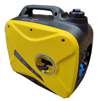 80CC 230V 2000W 50Hz Manueller Start 4-Takt-Motor 4L Kraftstofftank Tragbarer Inverter-Generator