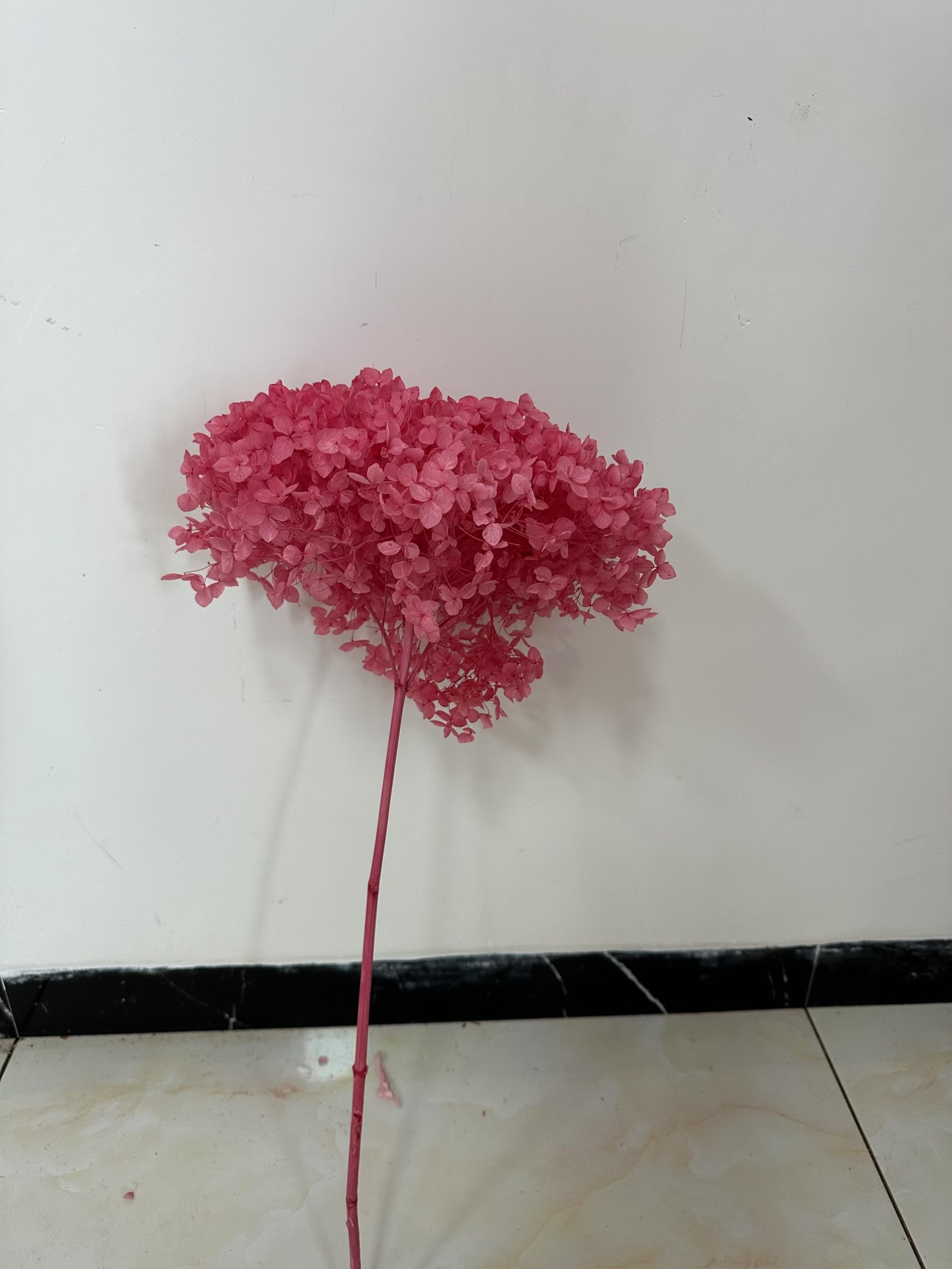 dark sakura pink