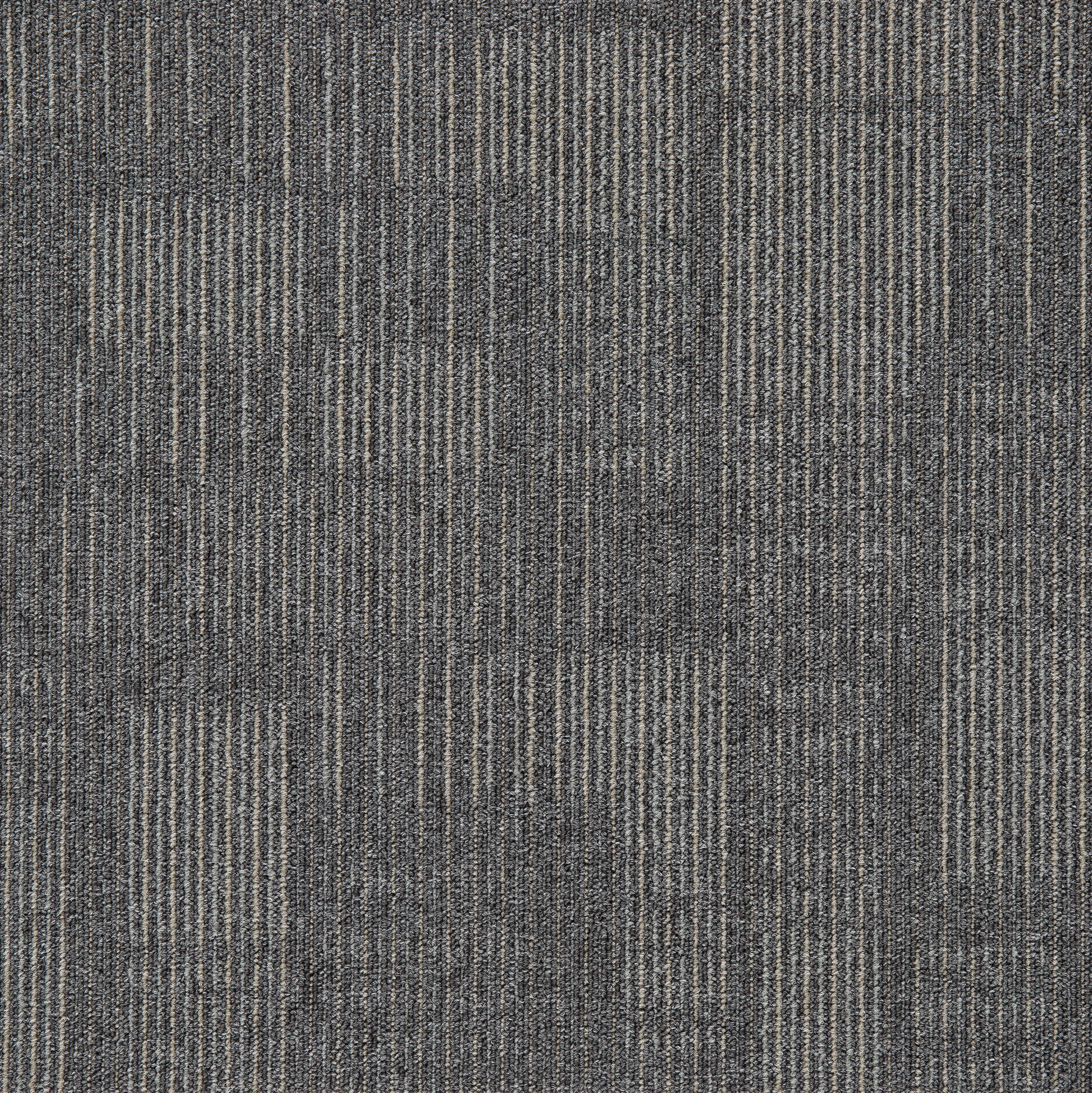Grey13