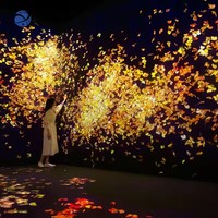 Projecteur Interactif Holographique 3D Immersif à 360 Degrés pour Sol et Mur, Projection Interactive en Espace Intégral, Matériau Métallique Durable