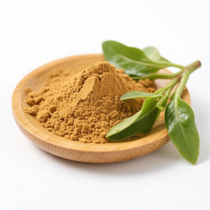 純天然オーガニックアンドログラフィス・パナケアエ抽出物食品グレードハーブパウダー（ドラム包装） - Product Image 3