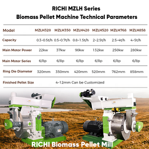 Machine à granulés de biomasse RICHI - Certification CE 75 kW - Machine à granulés de paille et de balles de riz - <span class=keywords><strong>Prix</strong></span> - Product Image 2