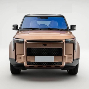 Auto Eléctrico de Nueva Energía ROX 01 con 5 Puertas y 7 Asientos, con Extensor de Rango, para Armenia - Product Image 5