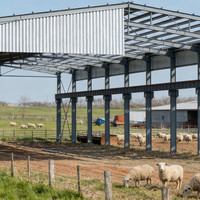 Bâtiments préfabriqués modernes en structure acier pour bergeries et poulaillers agricoles