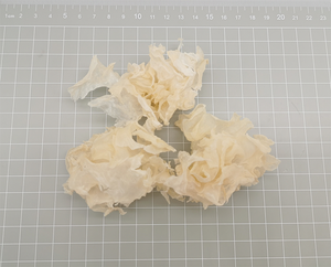 Hữu cơ Hoang Dã khô trắng fungus15x15mm nấm lát Tremella lát - Product Image 2