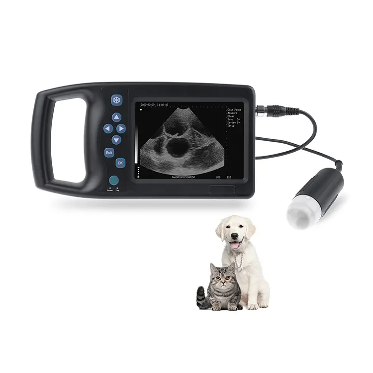 Cheap Price Full Digital Handheld Mechanical Ultrasound Scanner for Animals