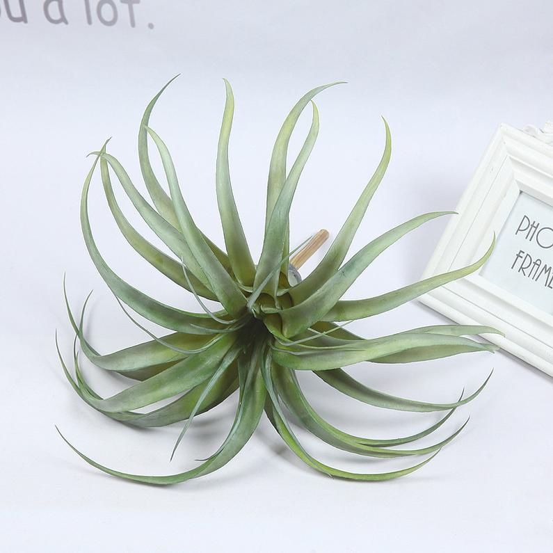 NH-2800 35x33cm 19.5g