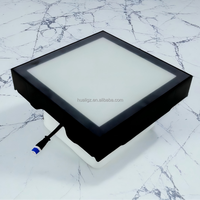 HUALI 30x30cm IP65 RGB 3-en-1 Piste de danse LED interactive Contrôle DMX512 Jeux de grille multi-joueurs Certifié CE Parc à thème Nest